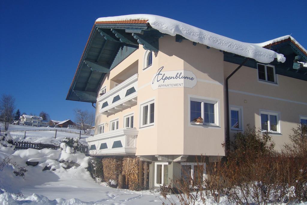 Appartement Alpenblume Schladming Esterno foto